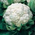 Cauliflower